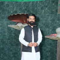 Ali Hamza