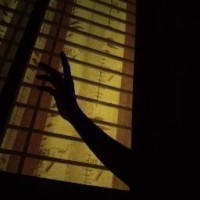 Shuvo Kiki