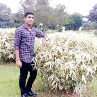 Santosh Pradhan