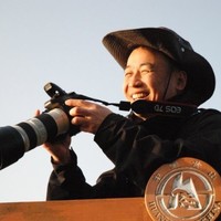 Hal Xu
