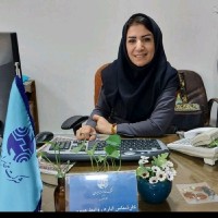 Najmeh Mohseni