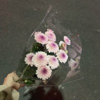 赵月源