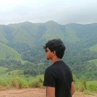 Harikrishnan T