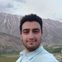 Shahin Panahi