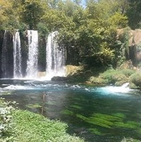Seyba Ozcan