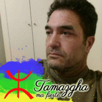 AREZKI FERTANE SARL AF ELECTRICITE