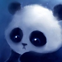陆炳旭