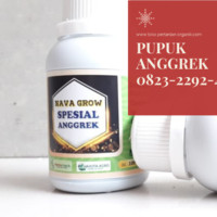 Distributor Untuk Anggrek