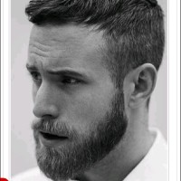 Tomas Anderson