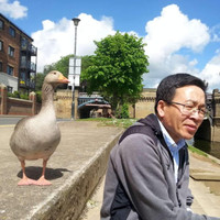Jin Wang