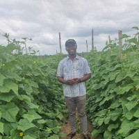 Mark Oluwafemi Gbedze