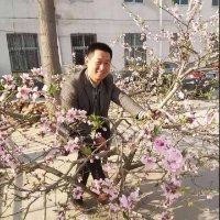 张德京