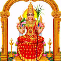 Surendrasingh Manchikalapati