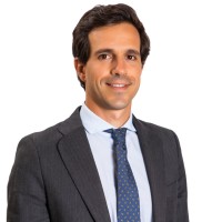 Alvaro García-Liñán Amo