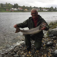 Morten Sørlie