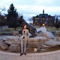 Jenna Mattice Phd