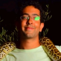 Ziad Aly