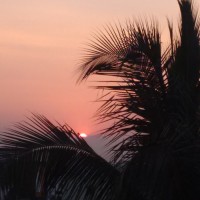 Malar Moorthy