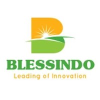 Cv Blessindo