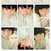 张新鸽