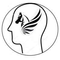 Pegaso Consulting Ecuador