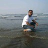 Avinash Shirse