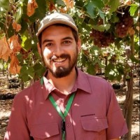 Daniel Gómez de la Torre