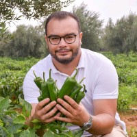 Fares Turki