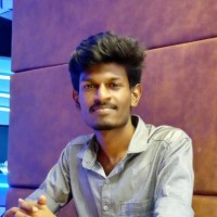 Rajapaul M