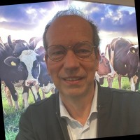 Martin Middelkoop Van