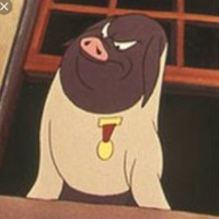 Chillón Cerdo