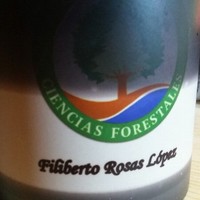 Filiberto Rosas-Forestal