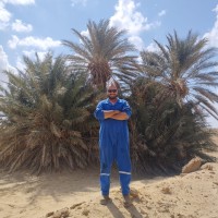 Amr Hammam