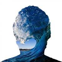 Matthew Mollison