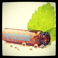 World's Best Essential oils