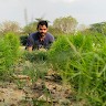 Rahul Pratap Singh