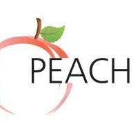 Peach Design Studio Interior Design Company