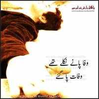 Alone Faizi