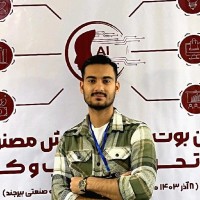 arman najafi