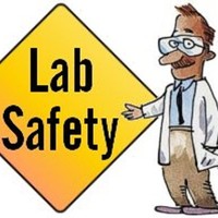 Safety Dan