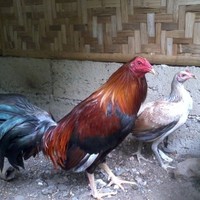 Kristiano Jun Cabaro Cababat