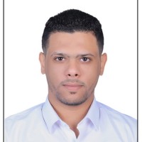 Kareem Mahmoud Hassan