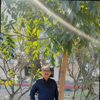 Parekh Hitesh