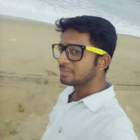 Ameenulla S