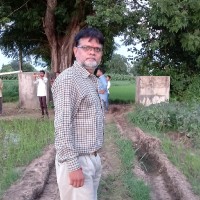 Rathva Champak