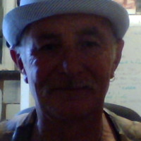 Steve Foley