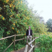 Louis Nguyễn