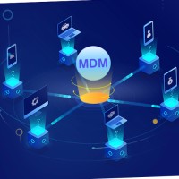 MDM Services