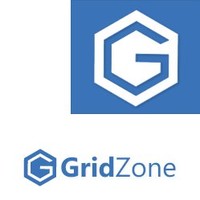 Gridzone Projects Leader