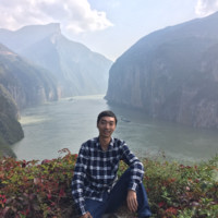 刘元华